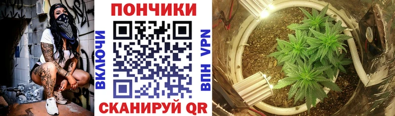 Канабис тримм  магазин  наркотиков  Белокуриха 